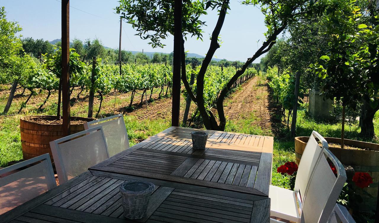 La Cipriana Villa Castagneto Carducci Ngoại thất bức ảnh