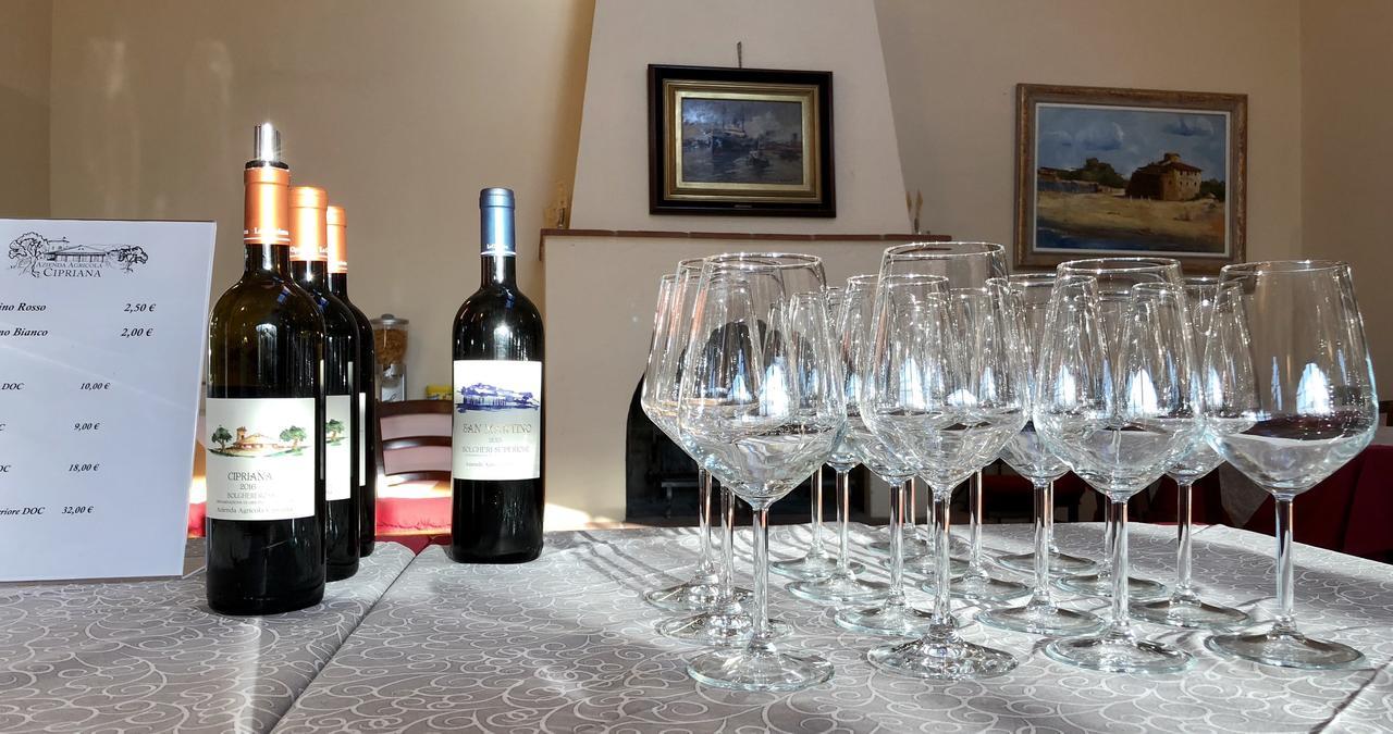 La Cipriana Villa Castagneto Carducci Ngoại thất bức ảnh